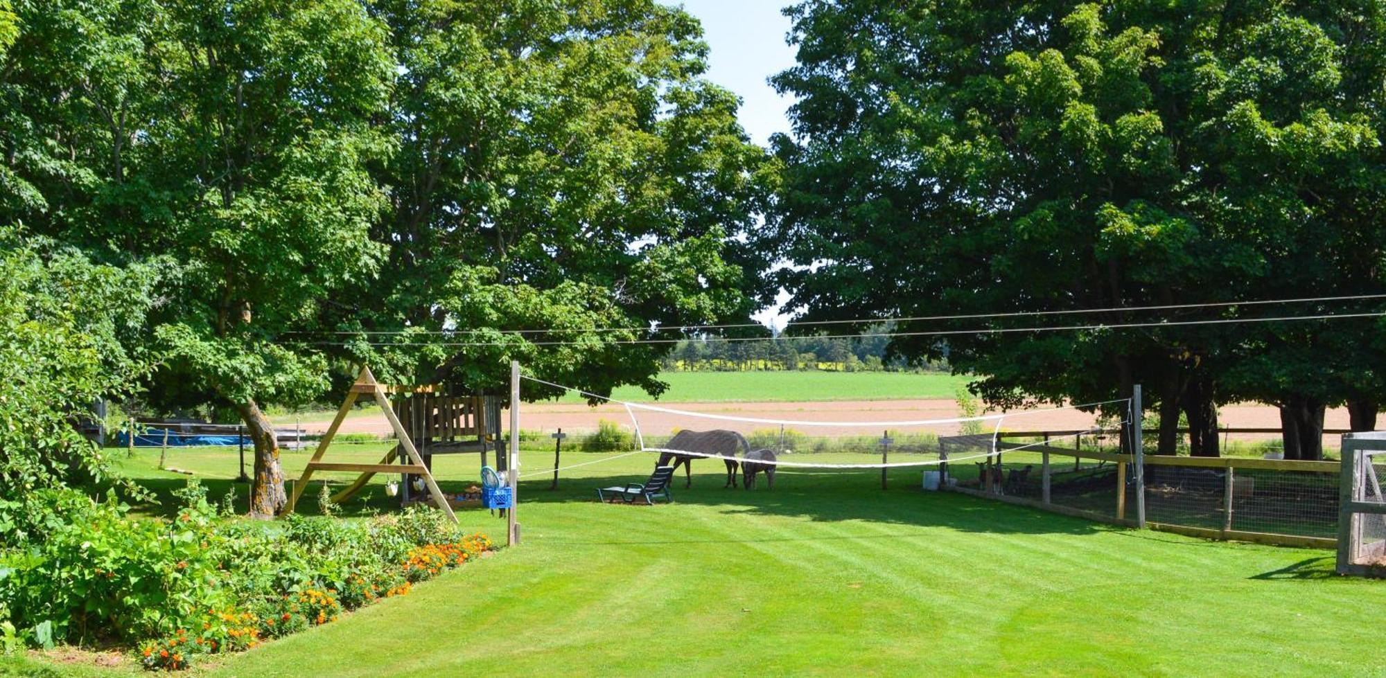 Bugaboo Cottages Summerside Exteriör bild