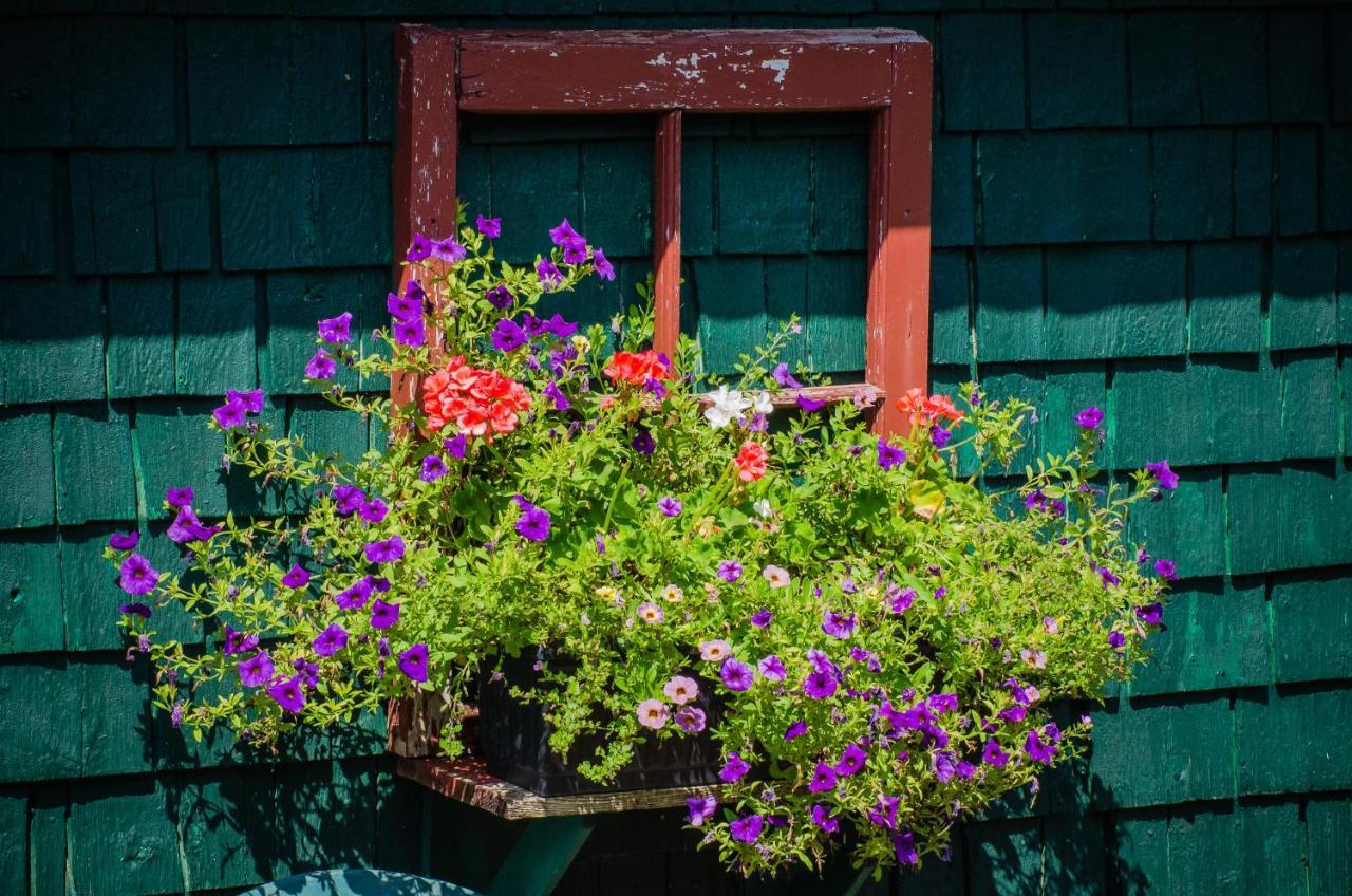 Bugaboo Cottages Summerside Exteriör bild